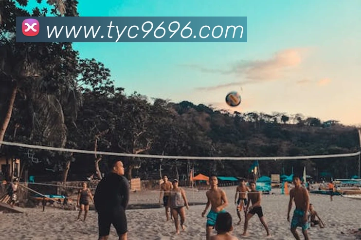 App Interface Preview